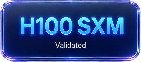 H100 SXM Validated
